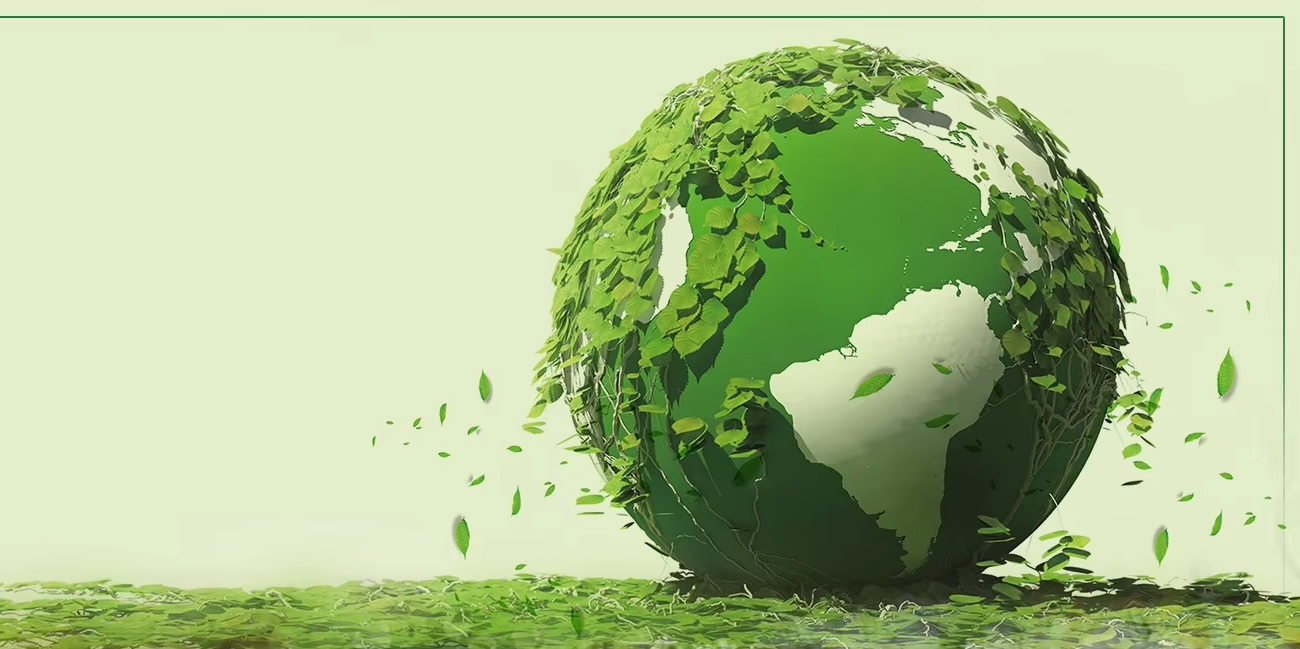 New European Packaging Regulations